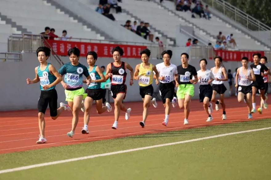 数据观察员林舒：在比分之外，记录比赛的另一层叙事